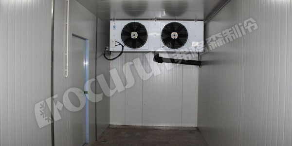 3 cold room-2