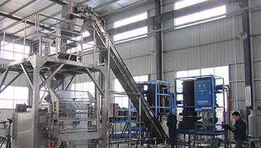 FIP-01A-I-1